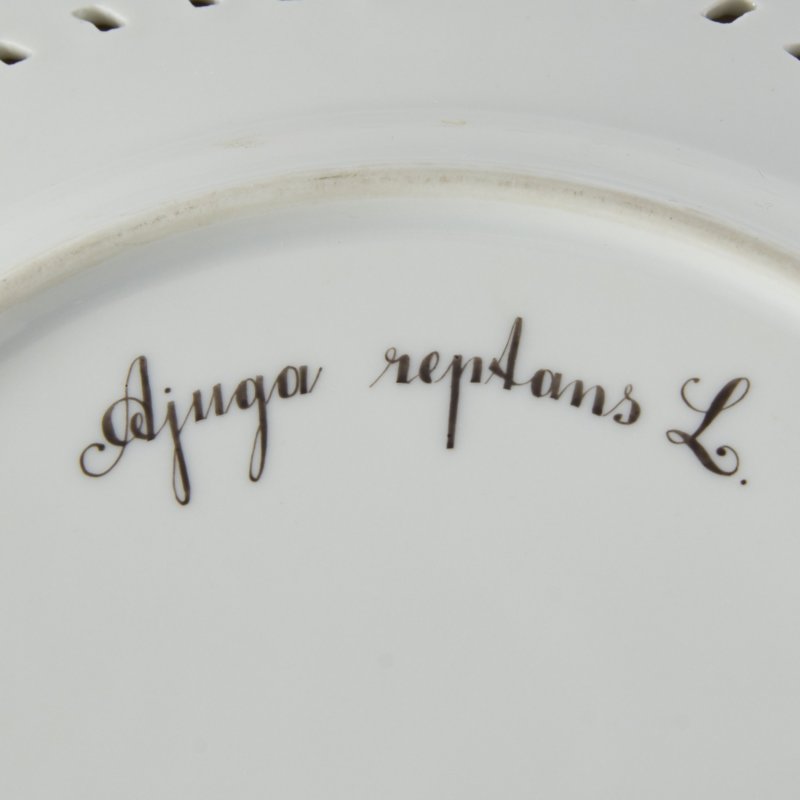 Тарелка “Ajuga reptans“ (“Живучка ползучая”) из сервиза Flora Danica