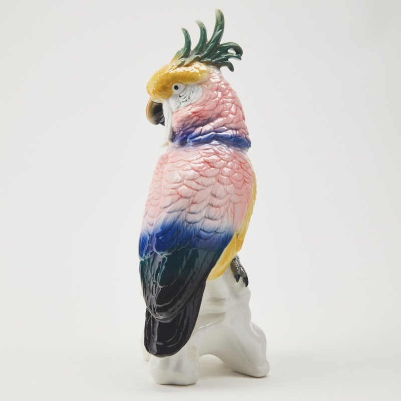 Попугай Какаду разноцветный 