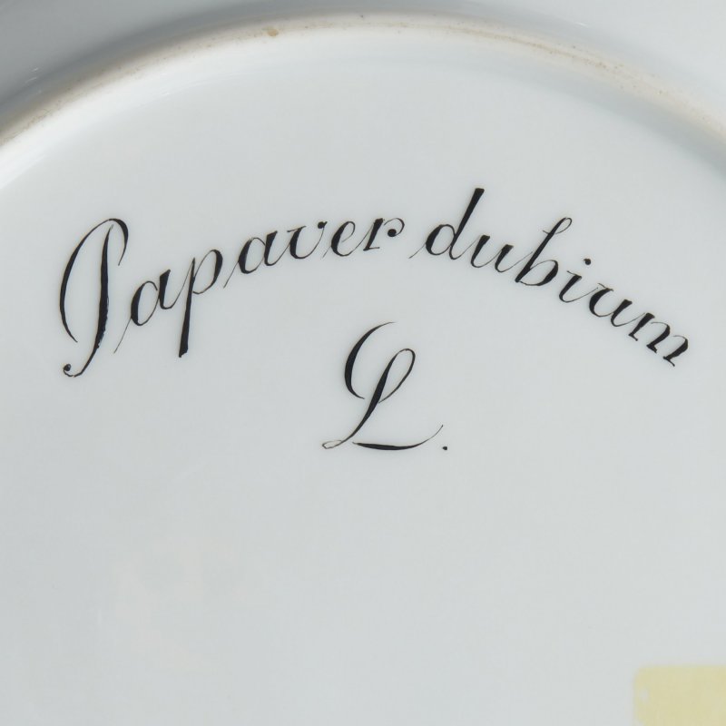 Тарелка  “Papaver dubium” (“Мак сомни́тельный”)   из сервиза Flora Danica.