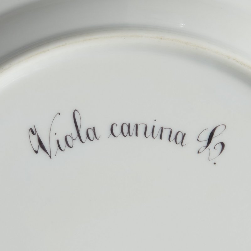 Тарелка “VIOLA CANINA” (“Фиалка собачья”) из сервиза Flora Danica.
