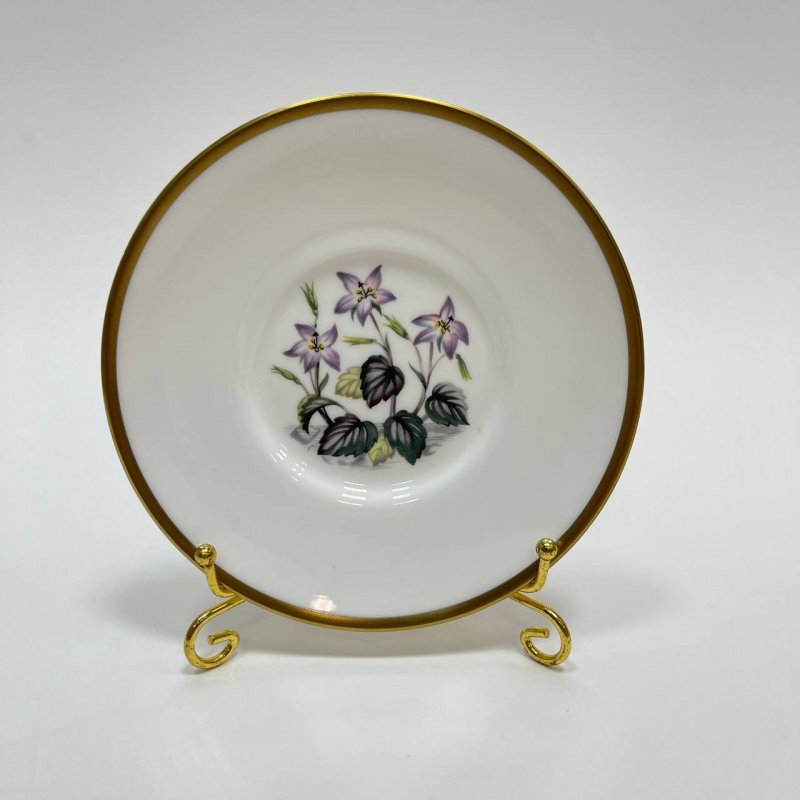 Набор из 6-ти блюдец Royal Worcester 20в