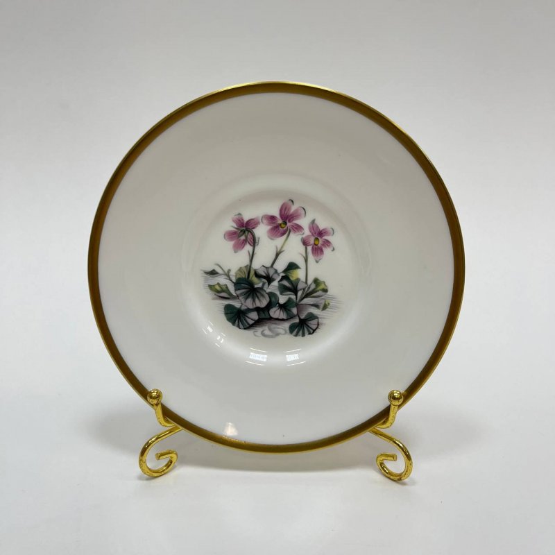 Набор из 6-ти блюдец Royal Worcester 20в