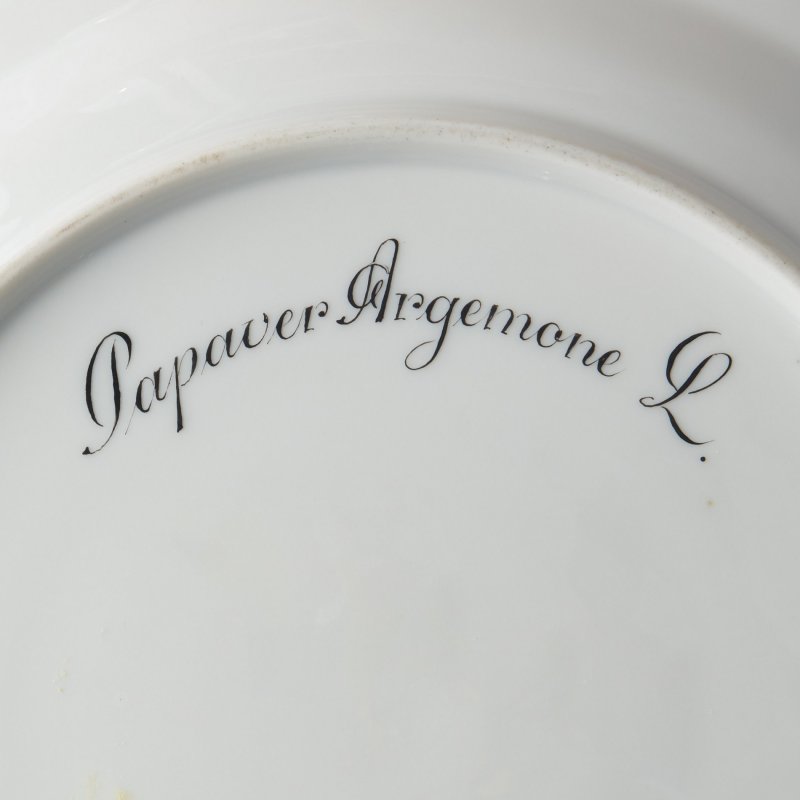 Тарелка «Papaver Argemone» («Мак полевой») из сервиза Flora Danica.
