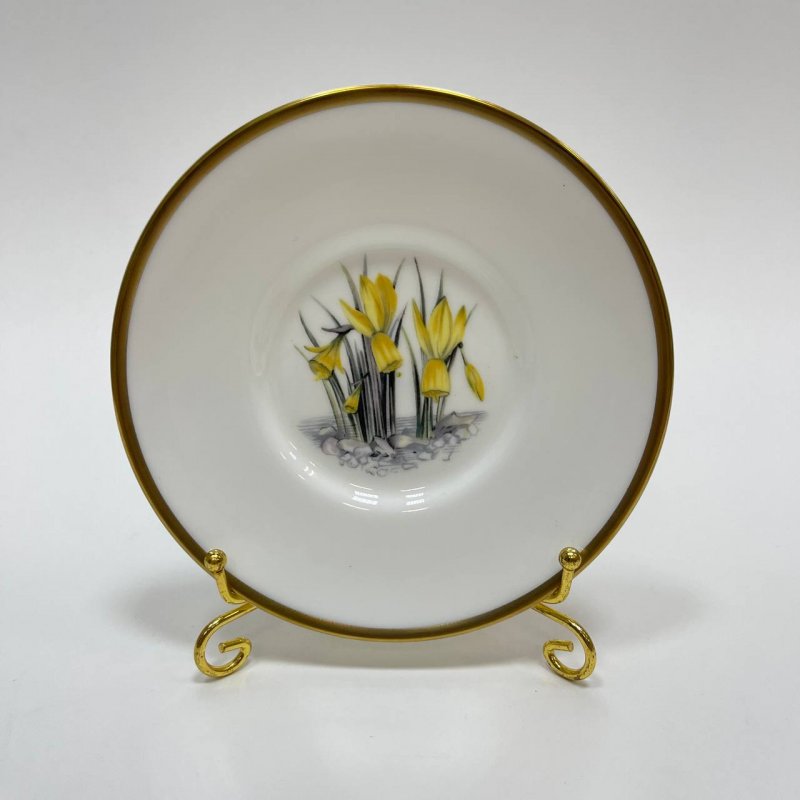 Набор из 6-ти блюдец Royal Worcester 20в