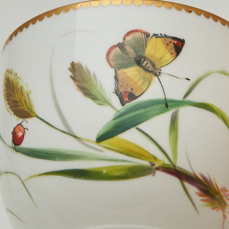 Чайная пара с бабочками William Brownfields