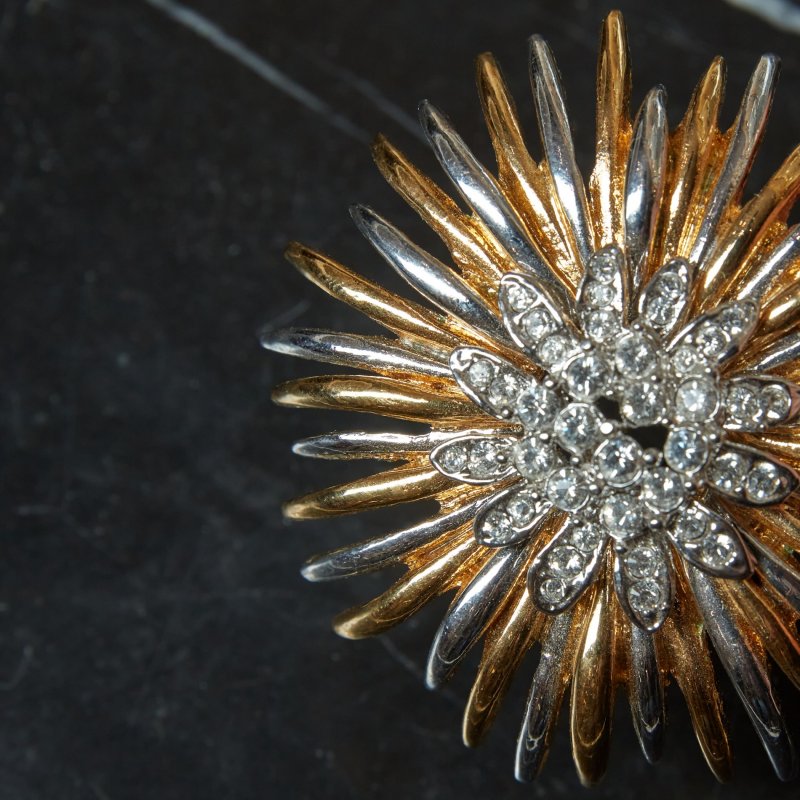 Брошь круглая Астра