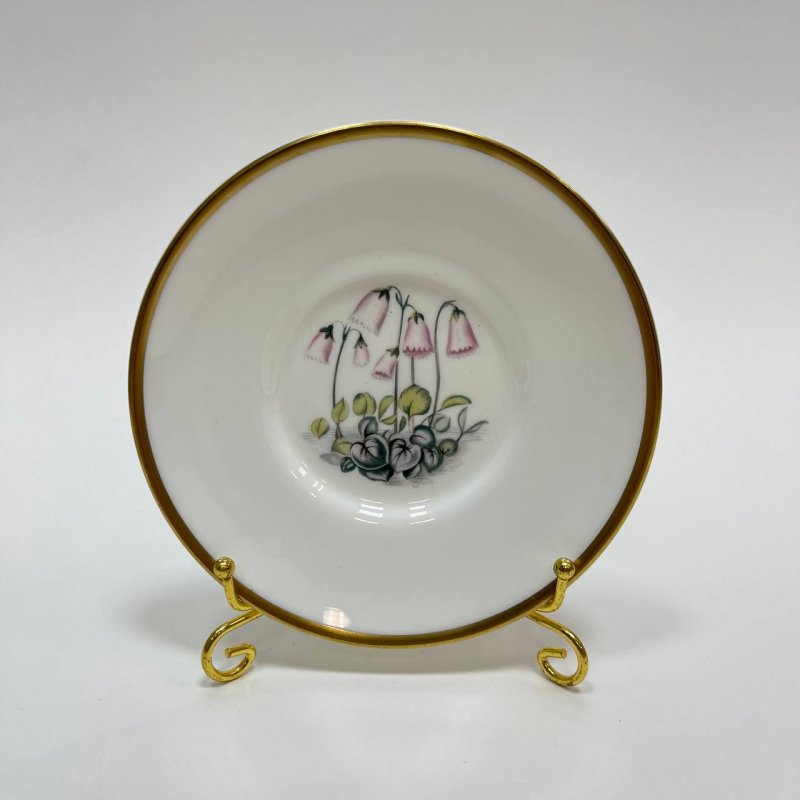 Набор из 6-ти блюдец Royal Worcester 20в