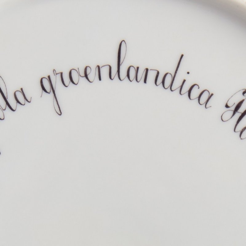 Тарелка «Pyrola groenlandica» («Грушанка гренландская») из сервиза Flora Danica