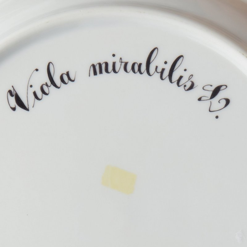 Тарелка «Víola mirábilis»  («Фиа́лка удиви́тельная»)  из сервиза Flora Danica.